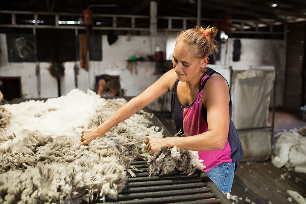Female wool classer in shearing shed