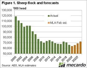 Sheep flock and forecasts