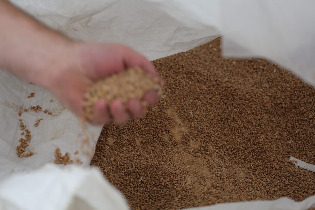 Hand in bag of soil