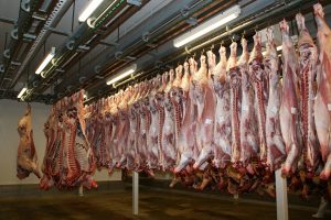 Carcase in meatworks hanging