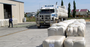 Wool bales