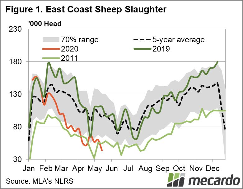 East coast sheep slaughter 2020, 2019 and 2011