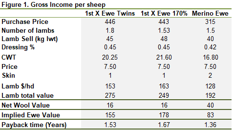 Gross income per sheep chart