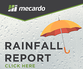 Rainfall report tile