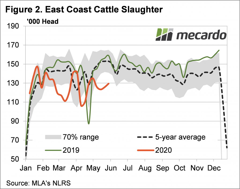 East coast cattle slaughter