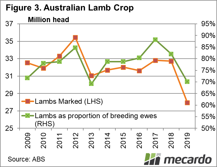 Australian lamb crop