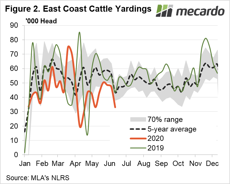 East coast Cattle Yardings