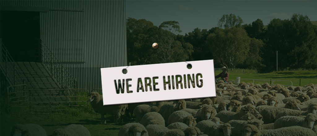 We are hiring sign ontop of darkened image of sheep