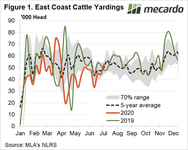 East Coast Cattle Yardings Chart