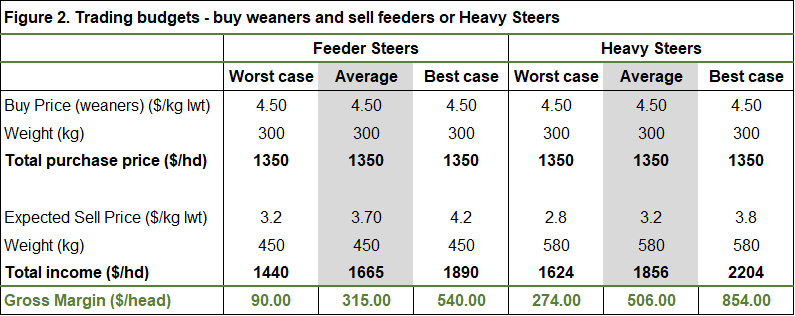 Trading budgets- buy weaners and sell feeders or heavy steers