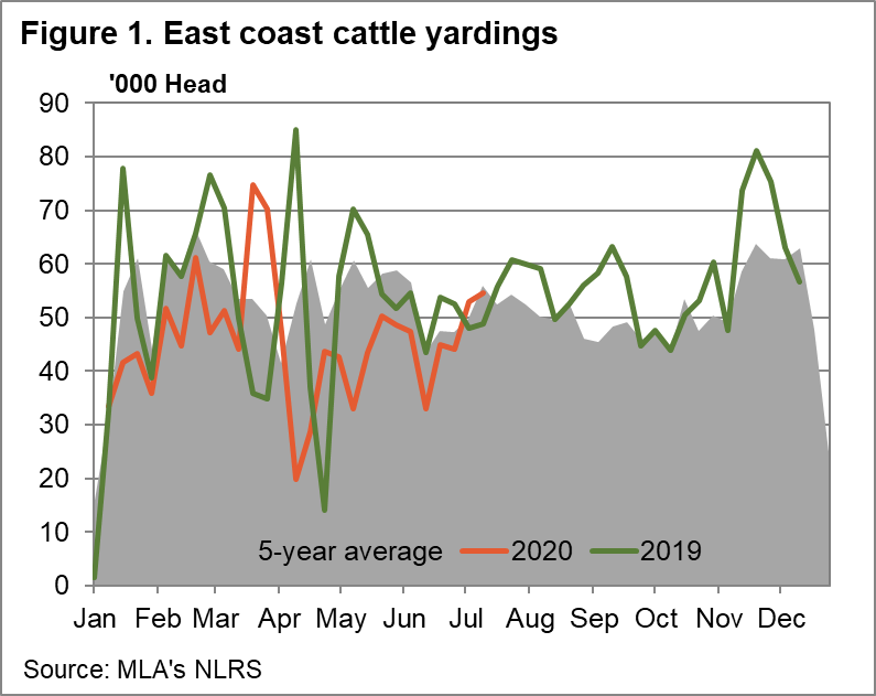 East coast cattle yardings chart