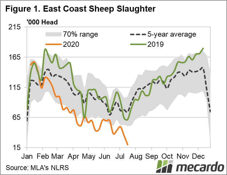 East coast sheep slaughter