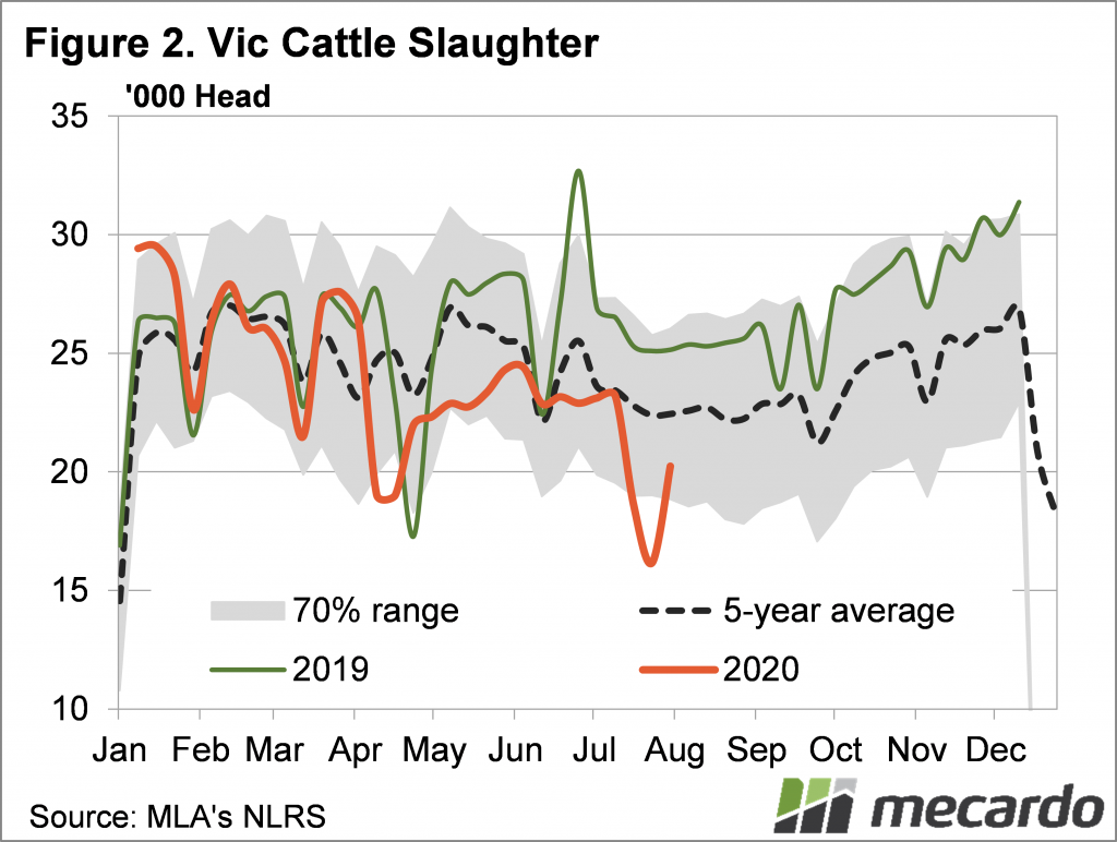 Victoria cattle slaughter