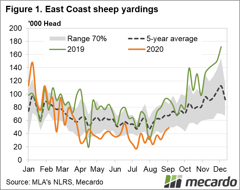 East coast sheep yardings