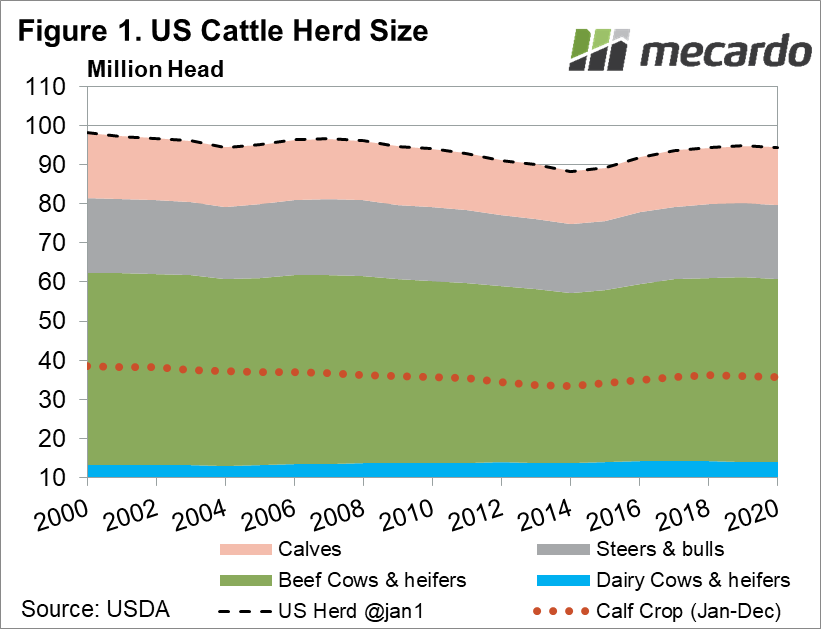 US cattle herd size