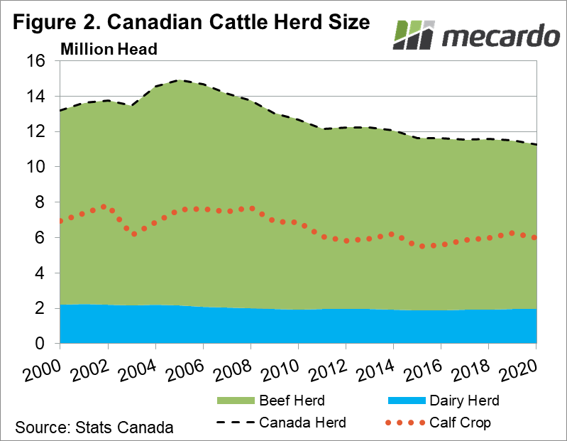 Canadian Cattle Herd Size