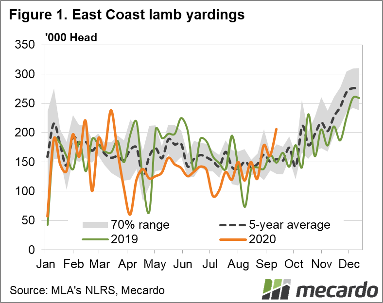 East Coast Lamb Yardings