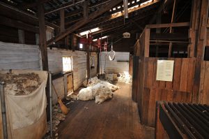 wool shed