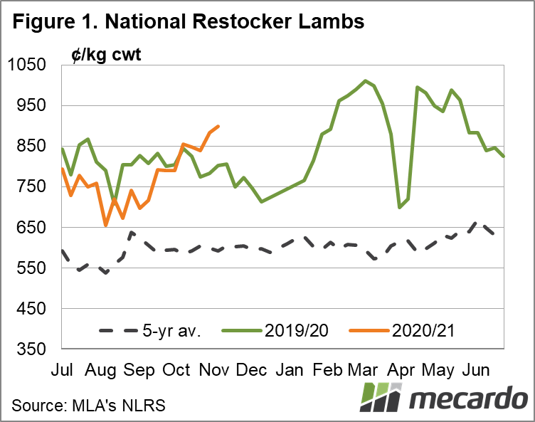 National Restocker lambs