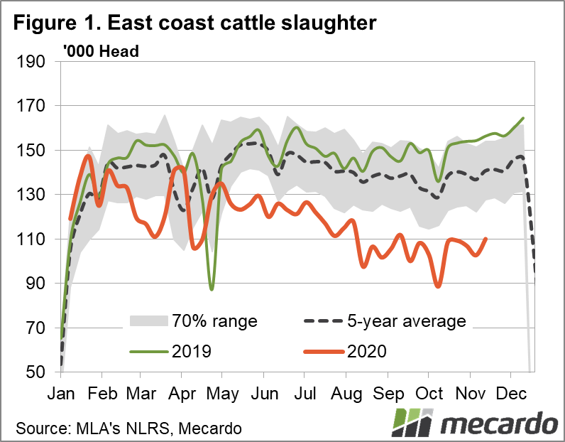East Coast cattle Slaughter