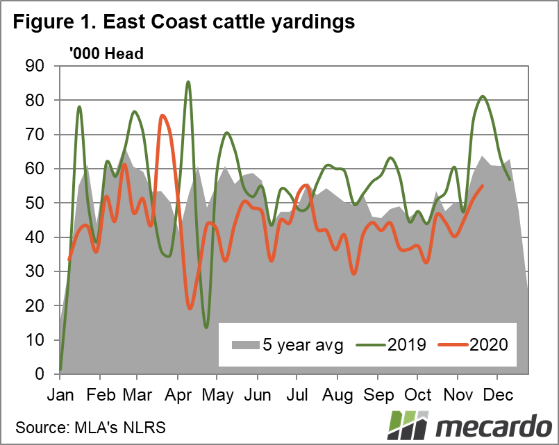 East Coast cattle yardings