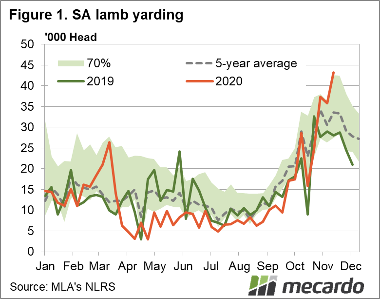 SA lamb yardings