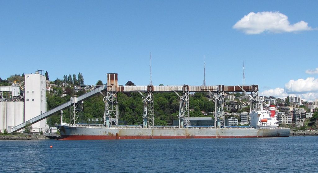 grain bulk carrier ship