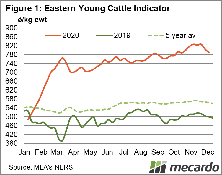 Eastern Young Cattle Indicator
