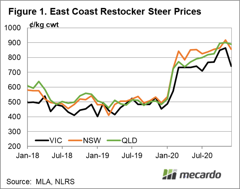 East Coast restocker steer prices