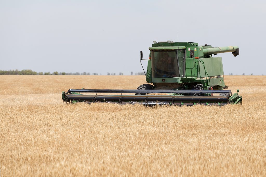 NSW harvesting wheat crop
