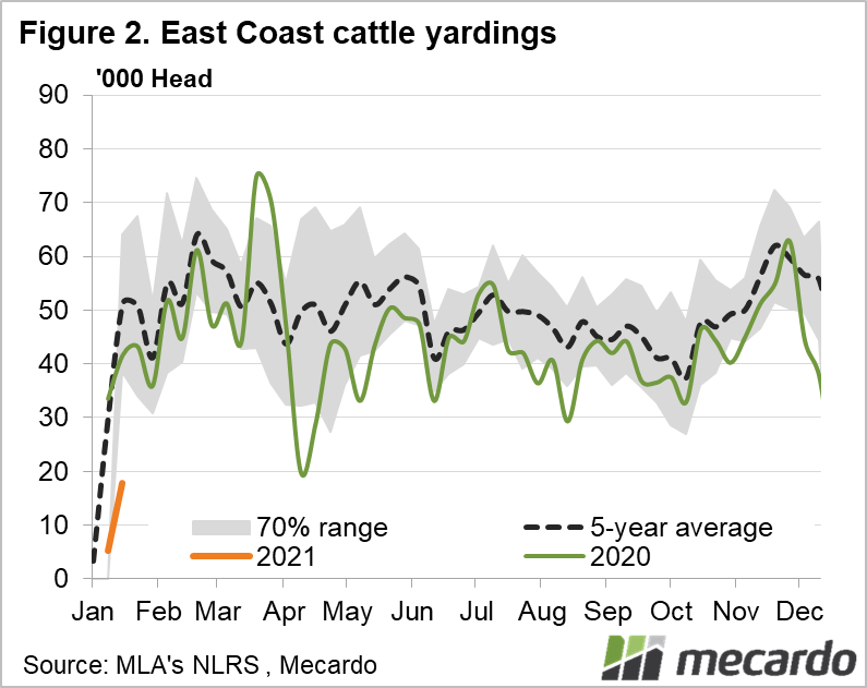 East Coast cattle yardings