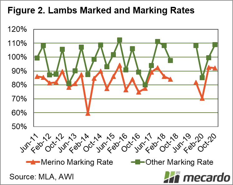 Lambs marked and marking rates