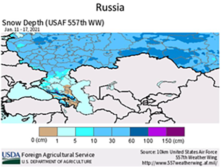 Russian snow depth report
