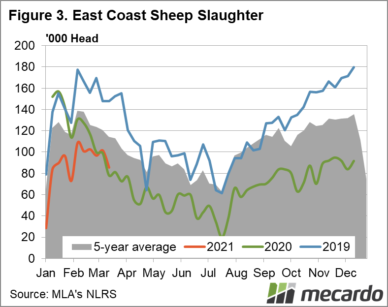 East coast sheep Slaughter