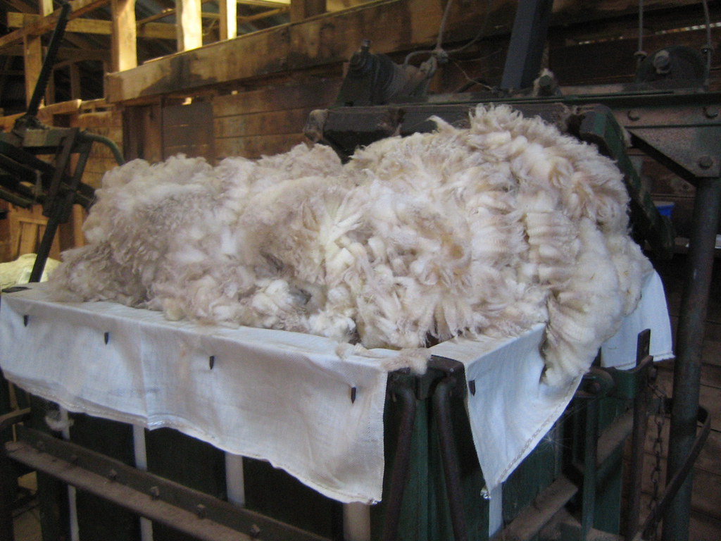 Wool Australia
