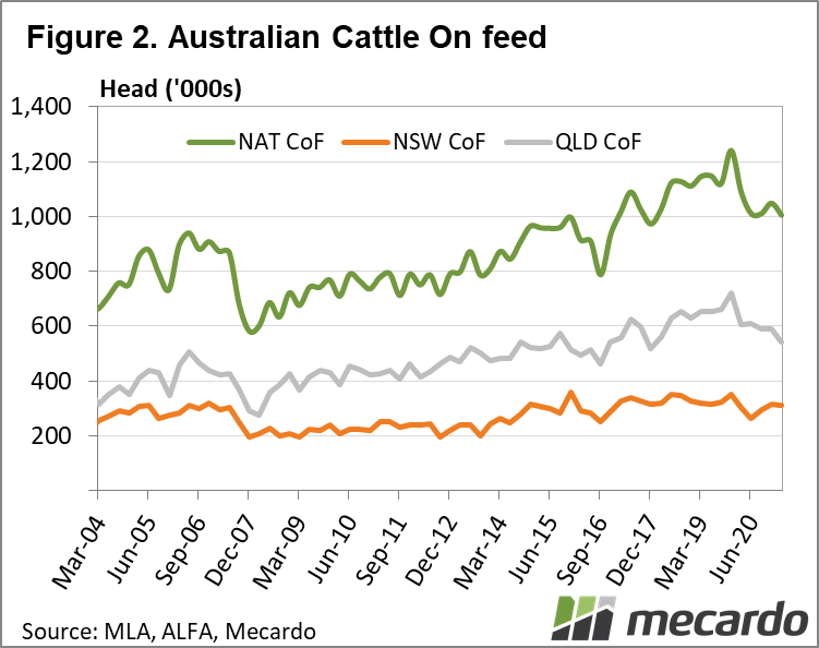 Australian cattle on feed