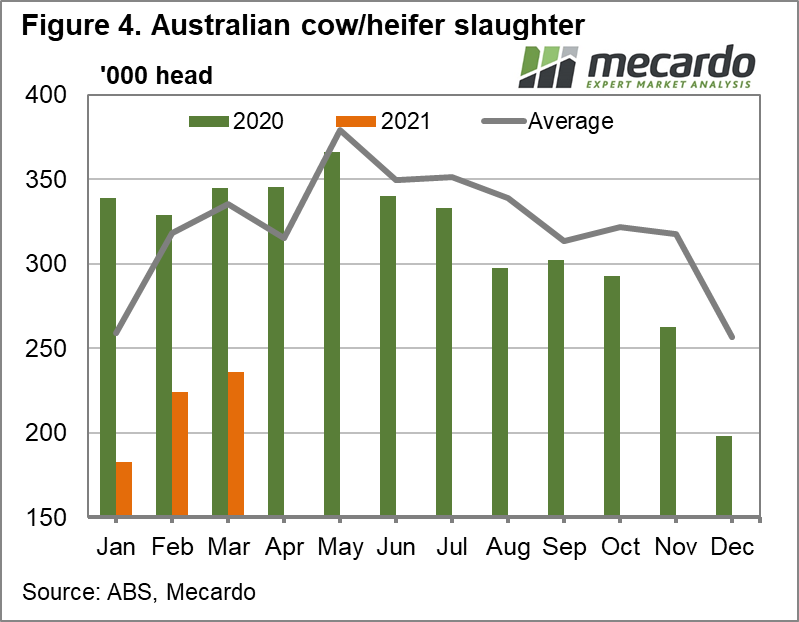 Australian cow/heifer slaughter
