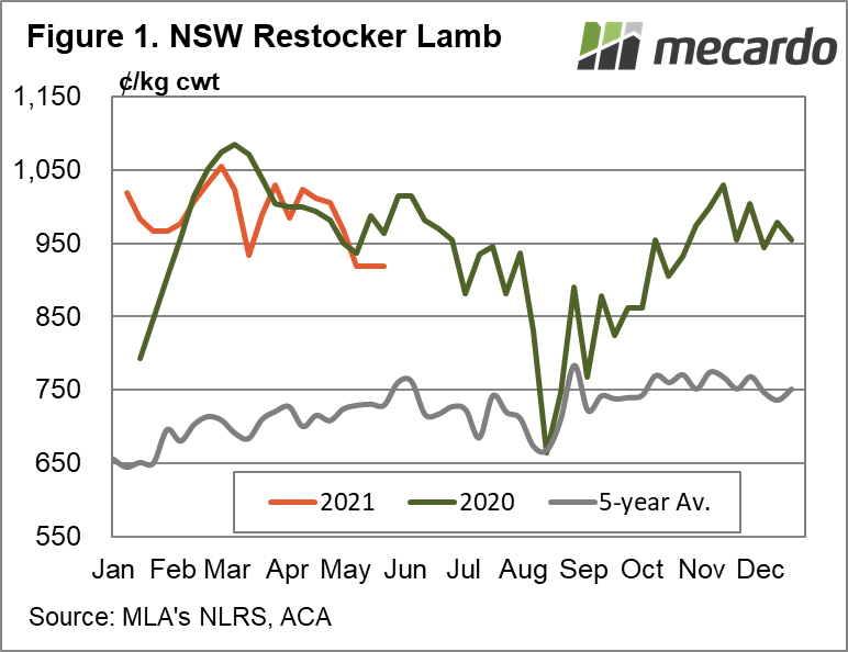NSW Restocker lamb
