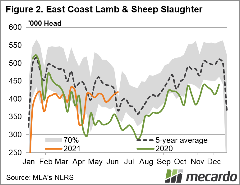 East coast lamb & sheep slaughter