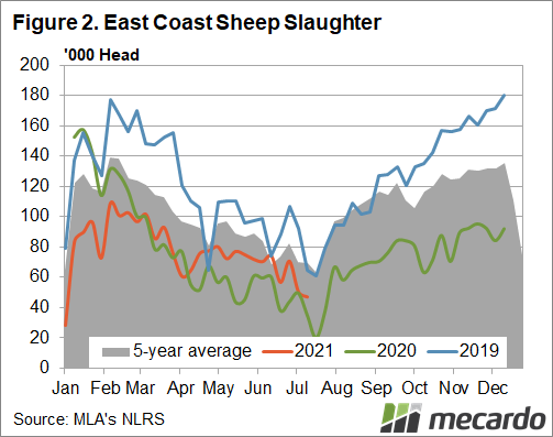 East coast sheep laughter
