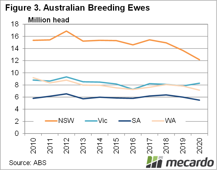 Australian Breeding Ewes