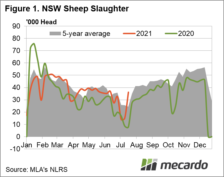 NSW sheep slaughter