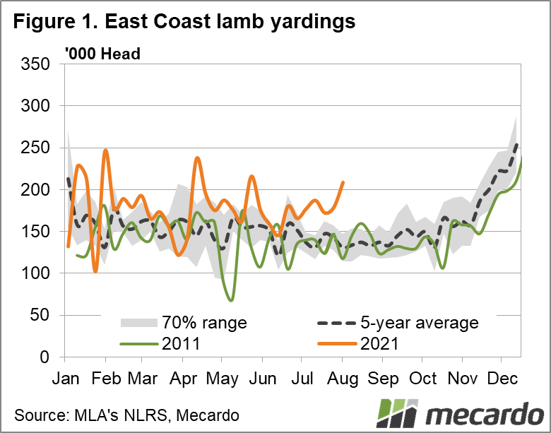 East coast lamb yardings
