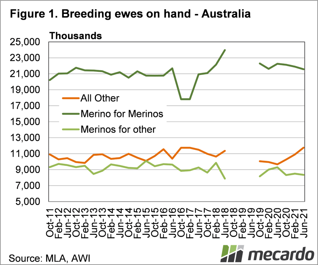Breeding Ewes on hand - Australia