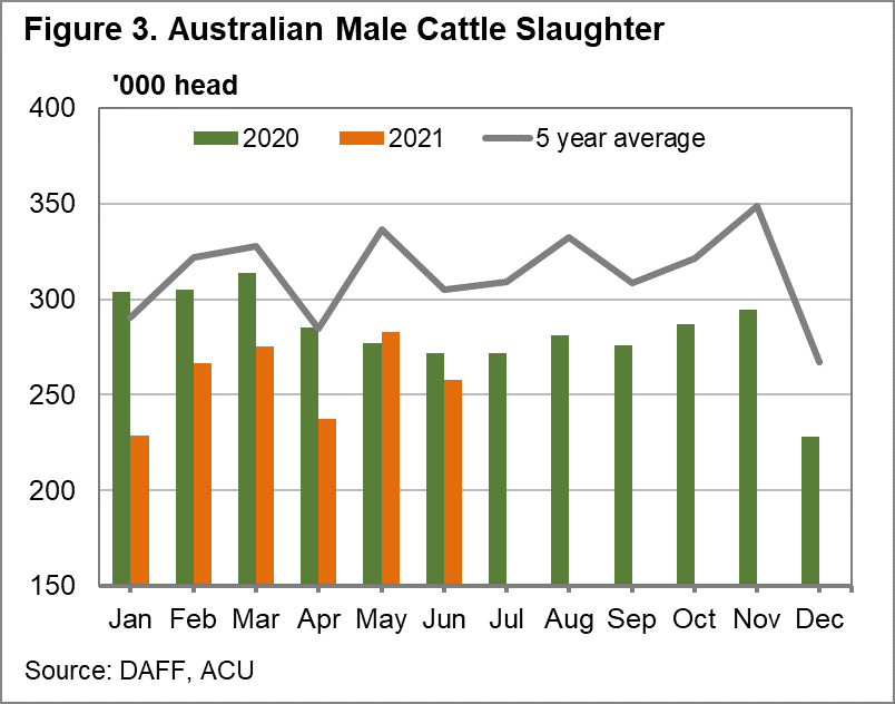 Australian male cattle slaughter