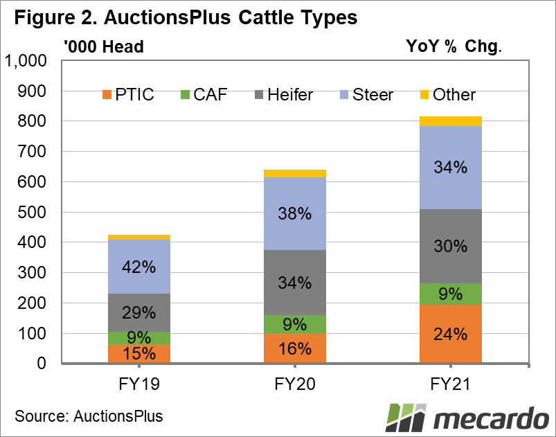 AuctionsPlus Cattle Types