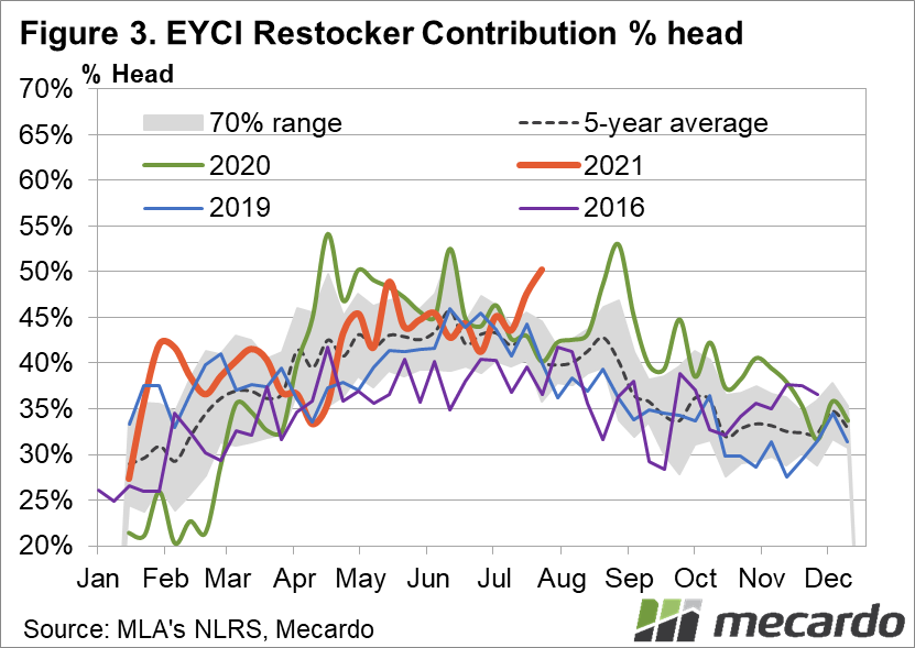 EYCI Restocker Contribution % Head