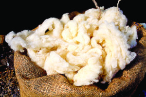 Bag of wool