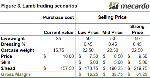 Lamb trading scenarios