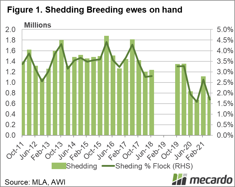 Shedding breeding ewes on hand